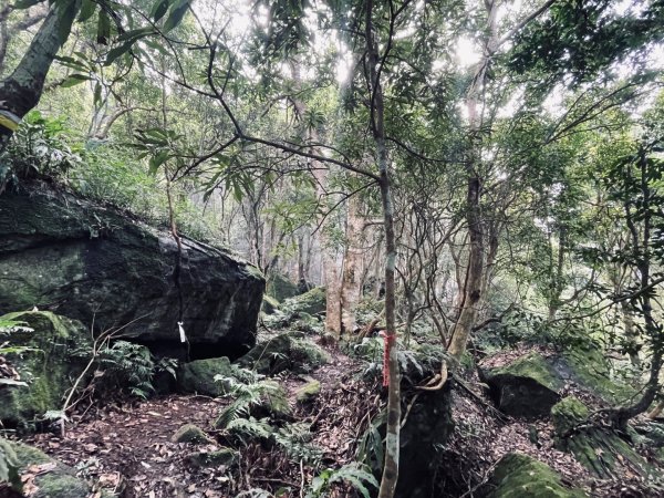 油羅山 2025 09/132890045