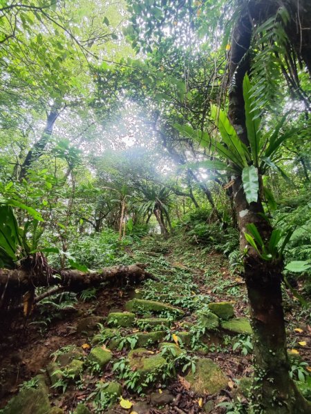 貢大縱走（新北貢寮-宜蘭大溪）2890348