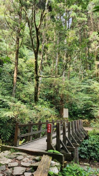 【中級山縱走】志繼山，東眼山，拉卡山，卡外山，東滿步道2742592