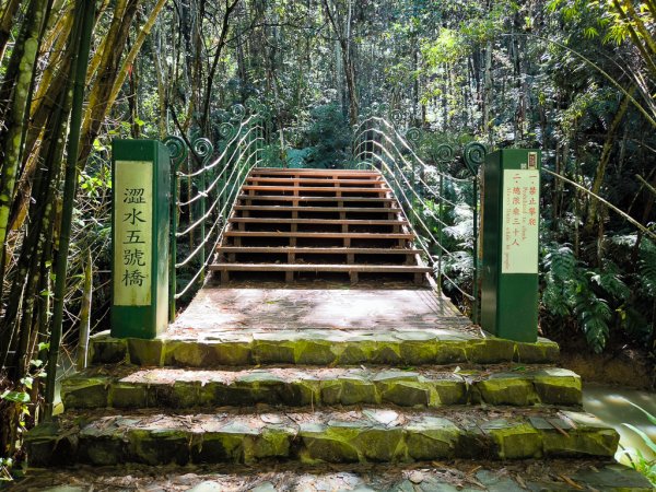 2024-08-22 澀水森林步道2578433