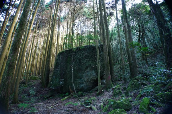 苗栗 南庄 加里山2963403
