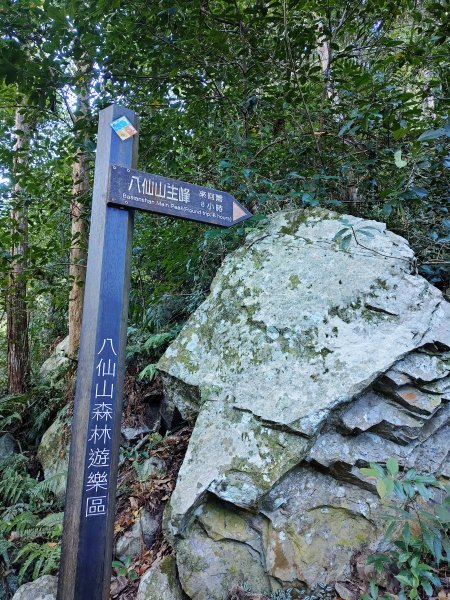 佳保台山-八仙山2910251