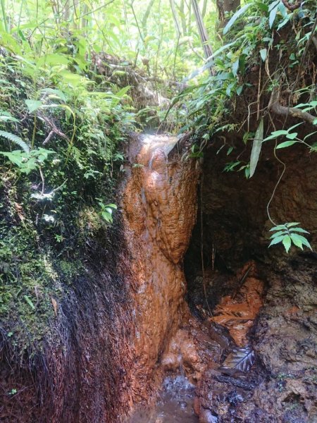 淡蘭烏山古道西段、網形山O走1434248