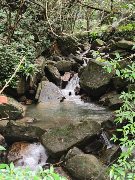 草嶺古道2025 芒花季2932021