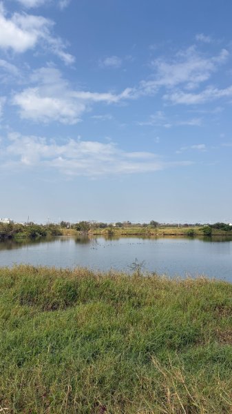 🚴‍♂️ 台南單車慢漫遊3003308