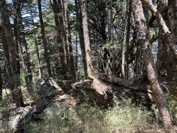 25/04/11羊頭山單攻2760067