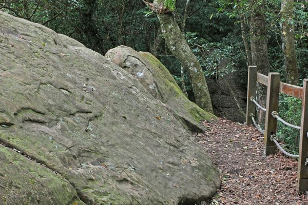 馬那邦山(珠湖線來回)375041