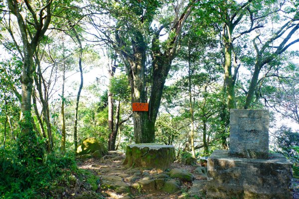 新北 土城 天上山、五城山、文筆山、五尖山、牛埔頭山、大尖山、二尖山、內冷水坑山、石門山、南天母山3134915
