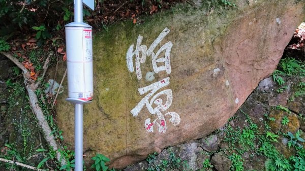 帕米爾公園,台北小溪頭1772366