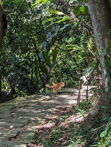 2023-09-28 臺北大縱走第五段2792907