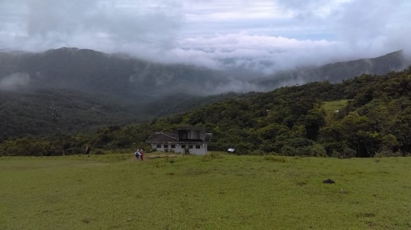 【東北角生態步道尋寶石】 桃源谷步道內寮線,草嶺線,大溪線 3-1963232