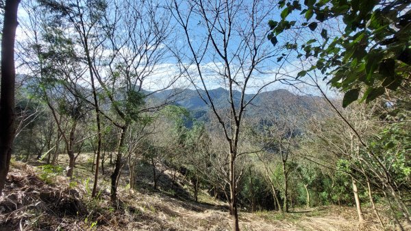 安坑五山縱走2784636