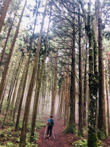 1090725高台山+美人湯1045472