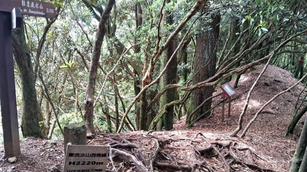 20230622 苗栗-雪見 東洗水山及北坑山 走走2193092