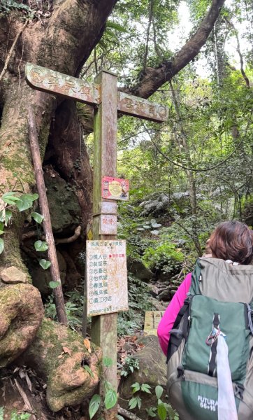 鳴鳳山古道群走鳴鳳山 三湖山吃仙草冰2923298