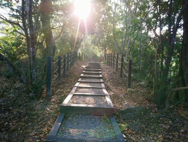 大坑步道全包一起登( 2 3維修)747617