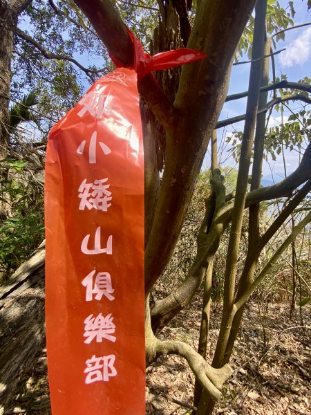 台中新社基石巡禮--小溪頭山.中和山.中和下山.二櫃山.水涵坑山.湖興山   2023.03.152071434