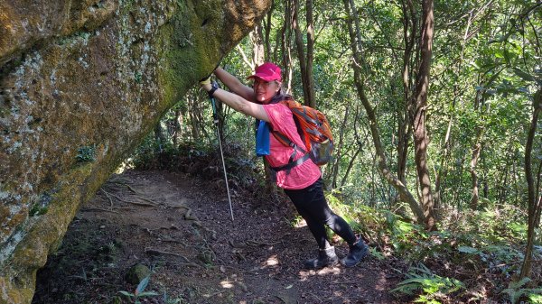 (姨婆趴趴走)第十四集:新竹關西油井窩山、彩和山、高甫山縱走2206447