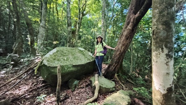 大混李棟山2816330