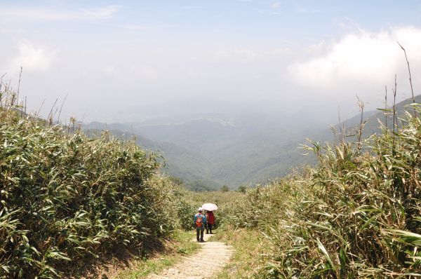 聖母山莊登山步道152624