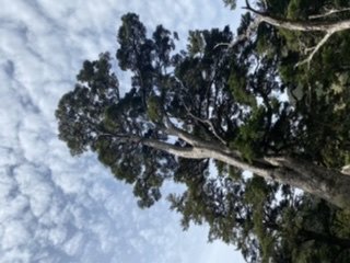 雪山西稜夢幻大景1392762