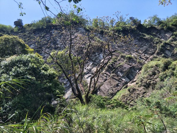 神阿縱走-大塔山1688499