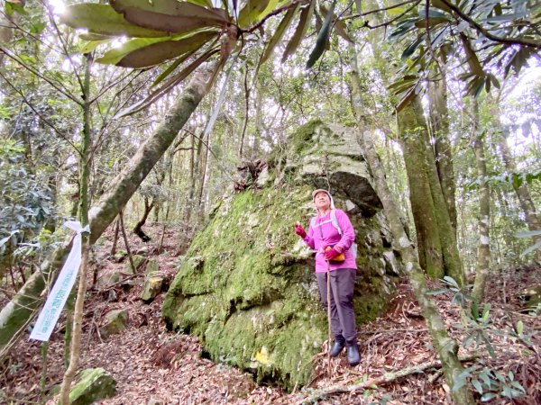 鳶嘴西南稜（經醜崠山）O型走    2021/8/181439899