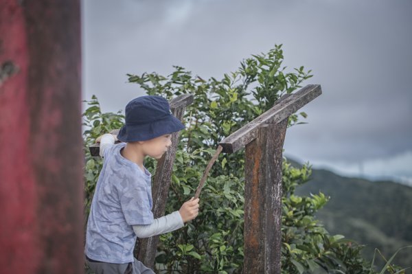 仙氣飄飄-無耳茶壺山1752176