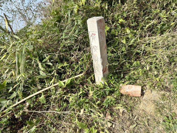 二延平步道2969808