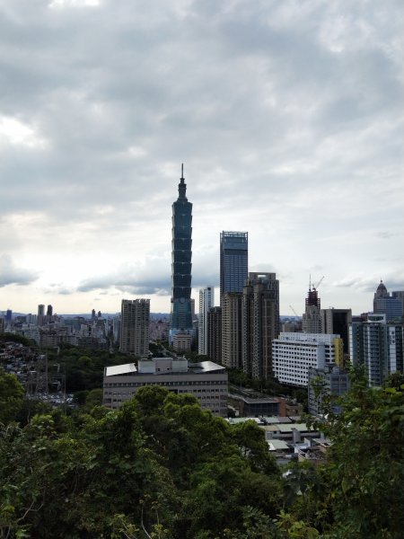 南港山縱走親山步道(拇指山、南港山、象山、九五峰)1820197