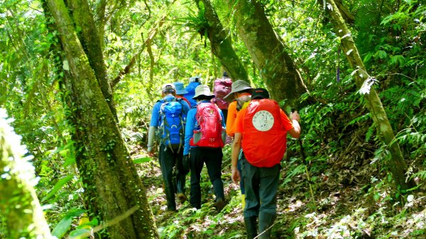 畝畝山。又上說2768166