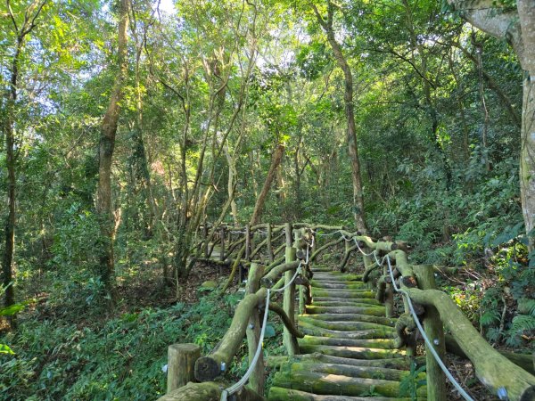 大坑一號、大坑五號（小百岳）2656493