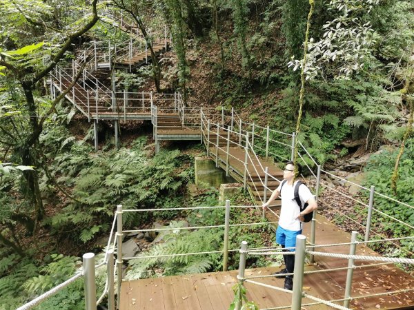 梨山希利克步道-泰雅族占卜靈鳥-繡眼畫眉1049492