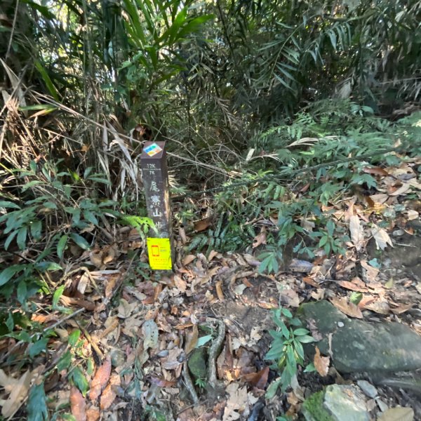 20151117_尾寮山（屏東小百岳）2941607