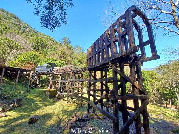 【台中和平】森林步道悠閒走。 八仙山森林遊樂區步道群2784591