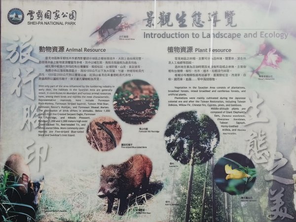 2025/05/11-丸田砲台遺址步道2784548