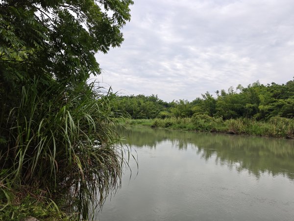 [山海圳_大圳之路_第二段] 2026_0801 南湖口⮕東口工作站3108564