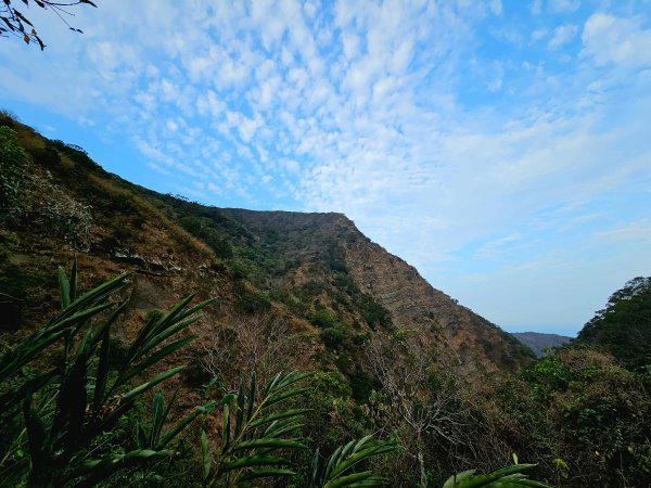 小百岳集起來-里龍山2184727