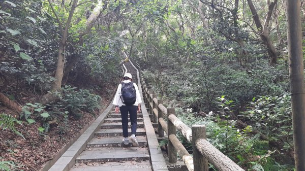 《新竹》城市微旅｜十八尖山+香山濕地賞蟹步道202511012928387