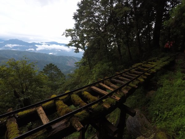 太平山見晴古道1457873