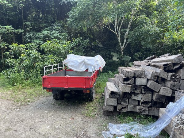 [百山百鳥尋旅-04/15] 2025_0817 龍過脈森林步道2863242