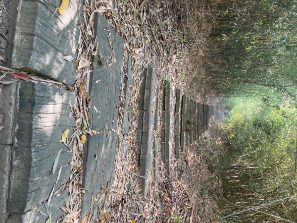 苗栗頭份-老崎古道2628329