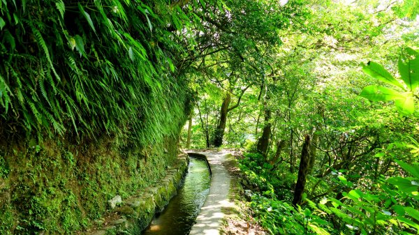 番王厝,番婆厝,王子厝,公主厝2827594