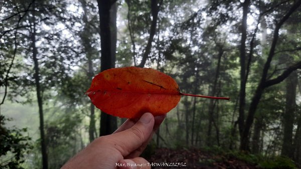 《雲林》望好望角｜石壁山嘉南雲峰步道(中側登山口）202506072805353