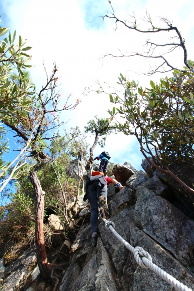 鳶嘴山，俯瞰西海岸，遠望玉山秀姑巒58061