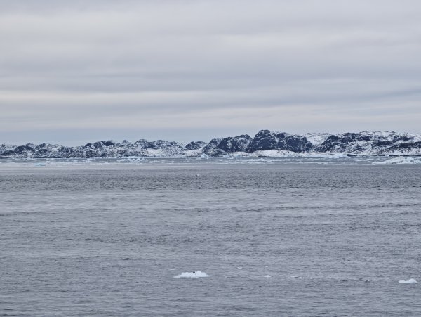 [紐約馬之行-27] 2025_1105 努克濱海木棧道(Nuuk Boardwalk)-下2947613