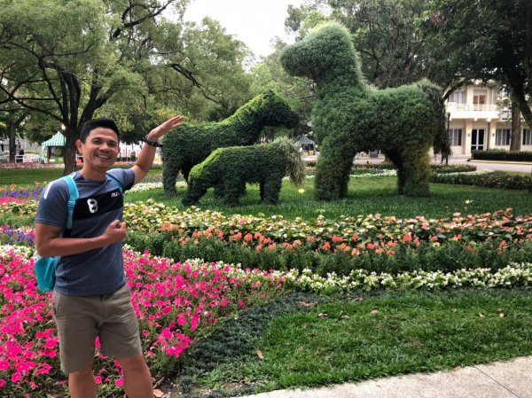 郡大山.望鄉山.臺中花博【給自己一份難忘569147