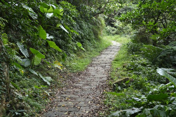 淡蘭古道北路（大里至貢寮）1058527