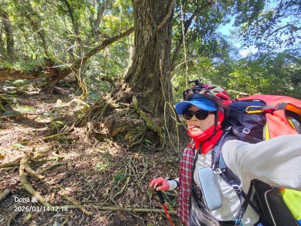 轆轆溫泉、凱翁大峽谷、大同電鍋、天使瀑布3021559