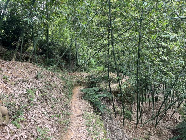 [皮皮獅探險隊-04/10] 2025_0706 三段崎古道2831761